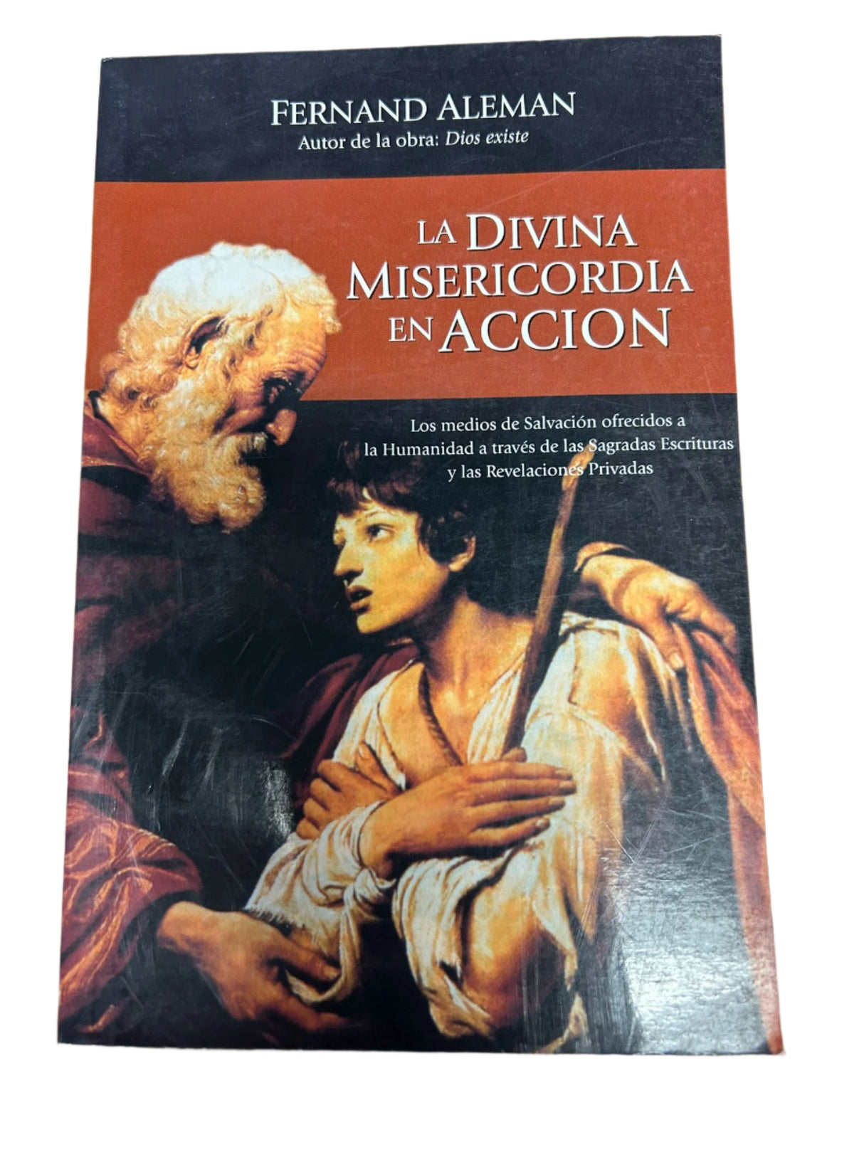 LA DIVINA MISERICORDIA EN ACCION