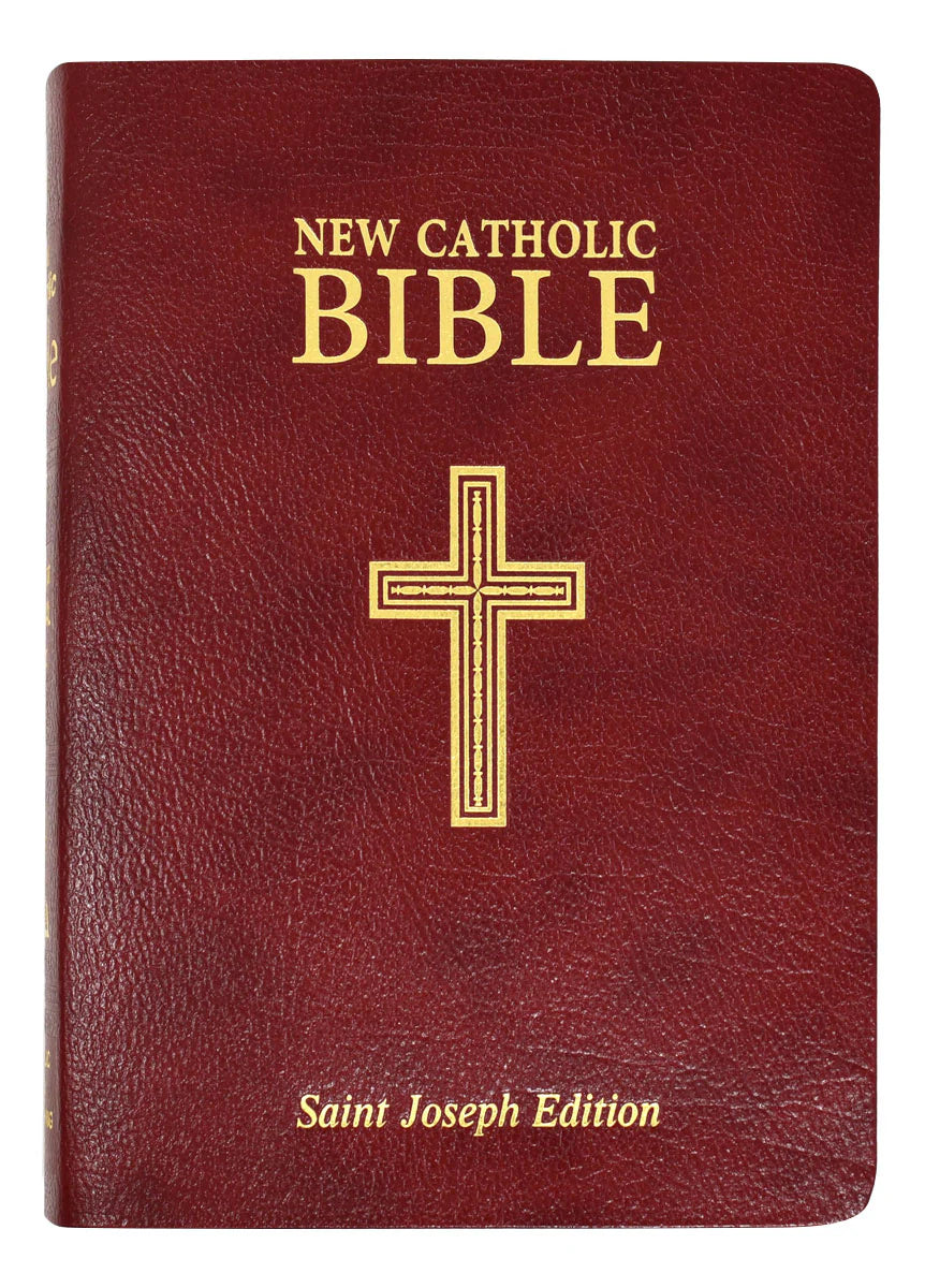 St. Joseph New Catholic Bible 608/13BG