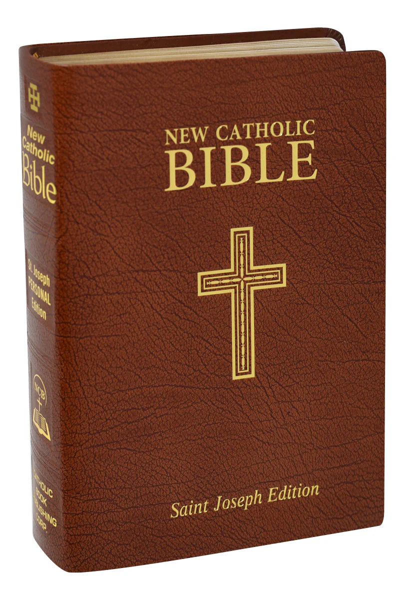 St. Joseph New Catholic Bible 608/13BN