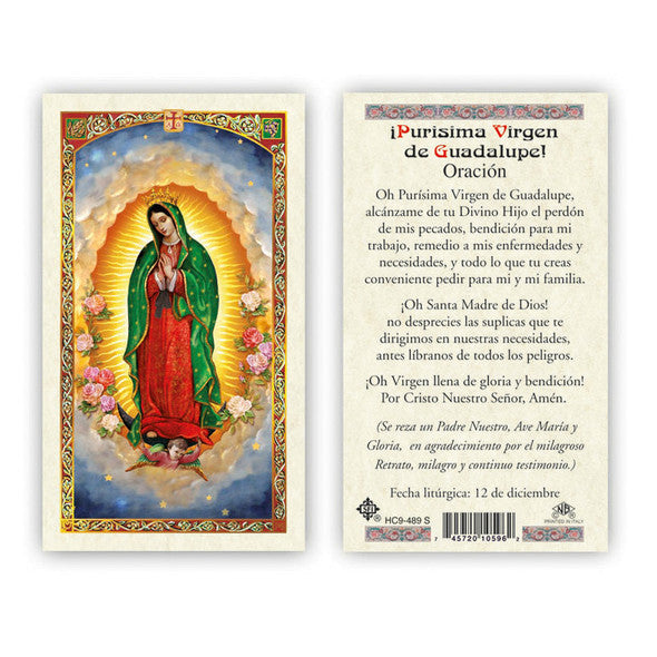 Our Lady Of Guadalupe