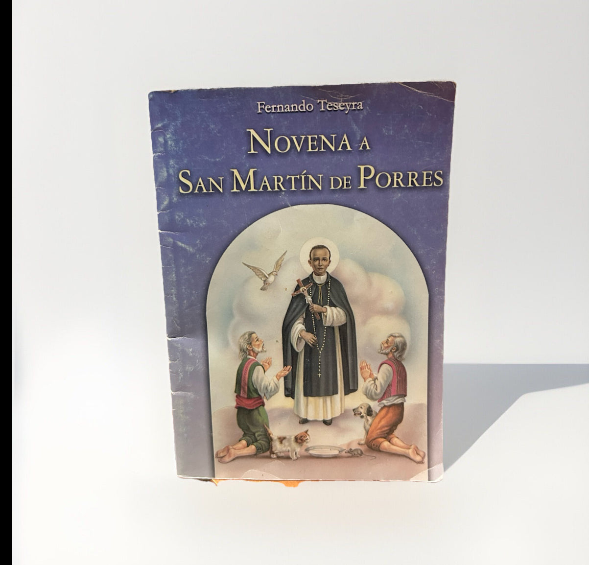 Martin de Porres, Novena