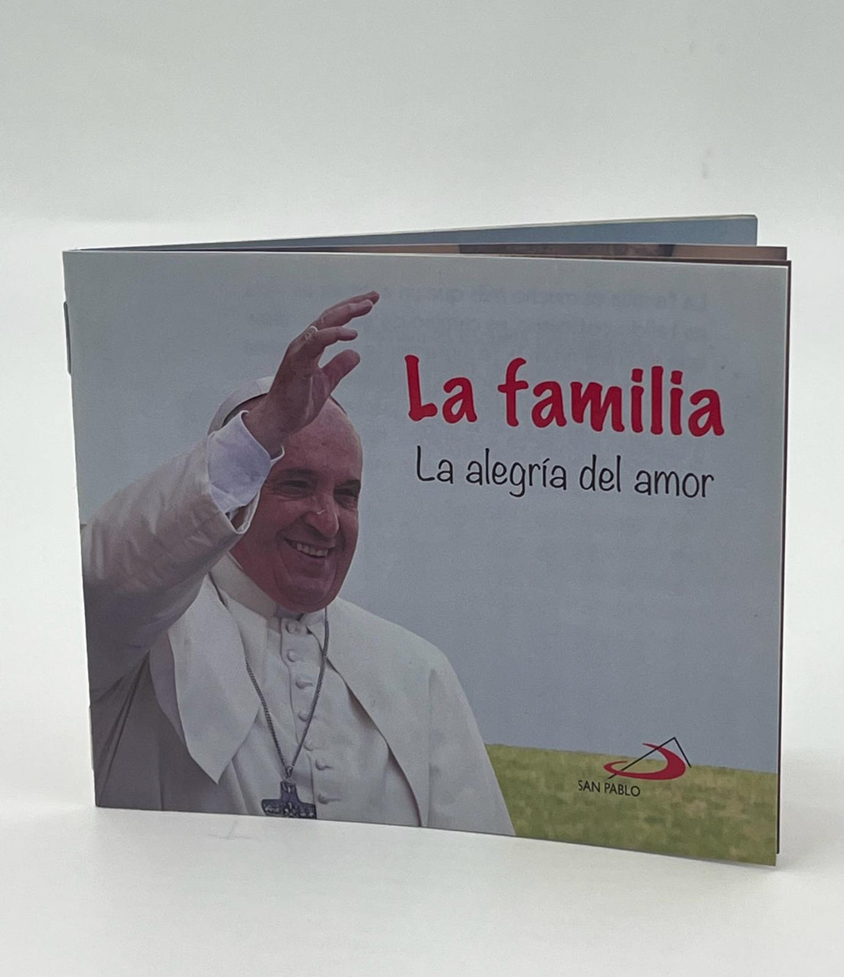 FAMILIA ,LA ALEGRIA DEL AMOR.