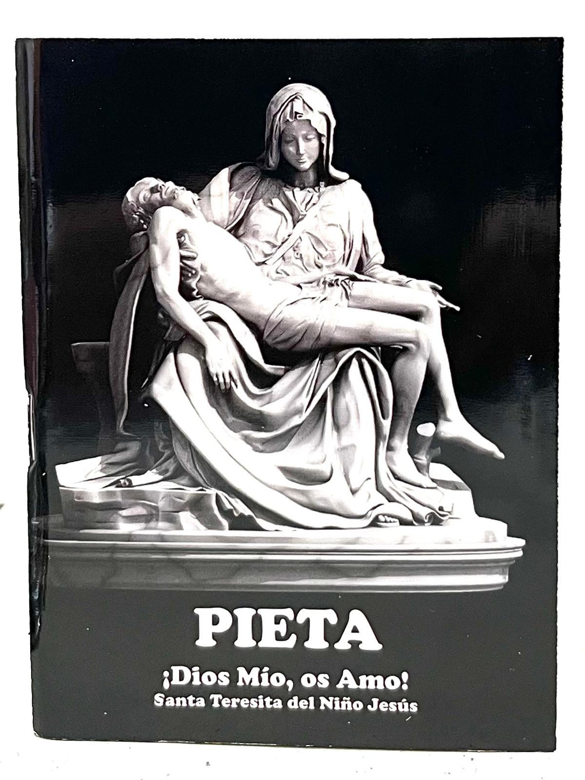 Pieta 254