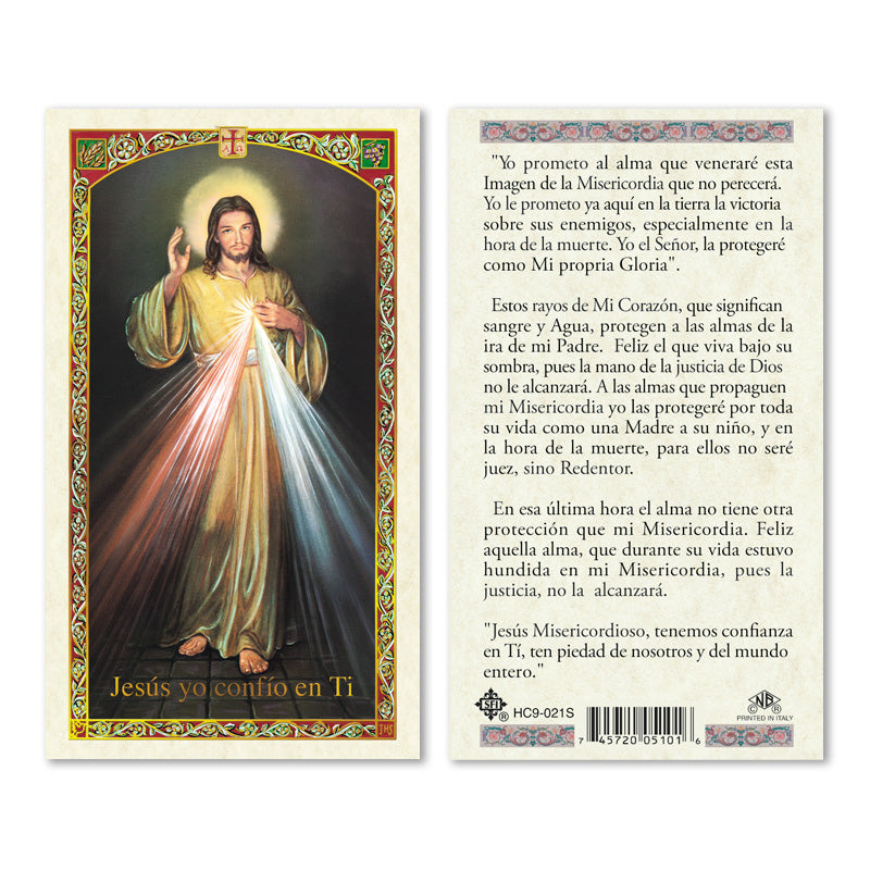 Divine Mercy Laminated Holy Card