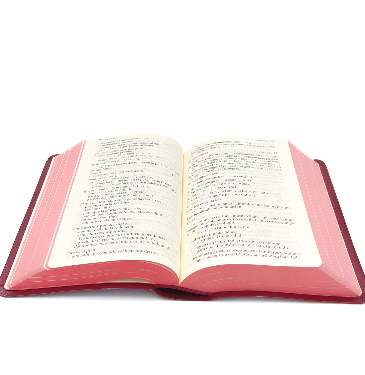 LITURGIA DE LAS HORAS TOMO II Nva. Ed