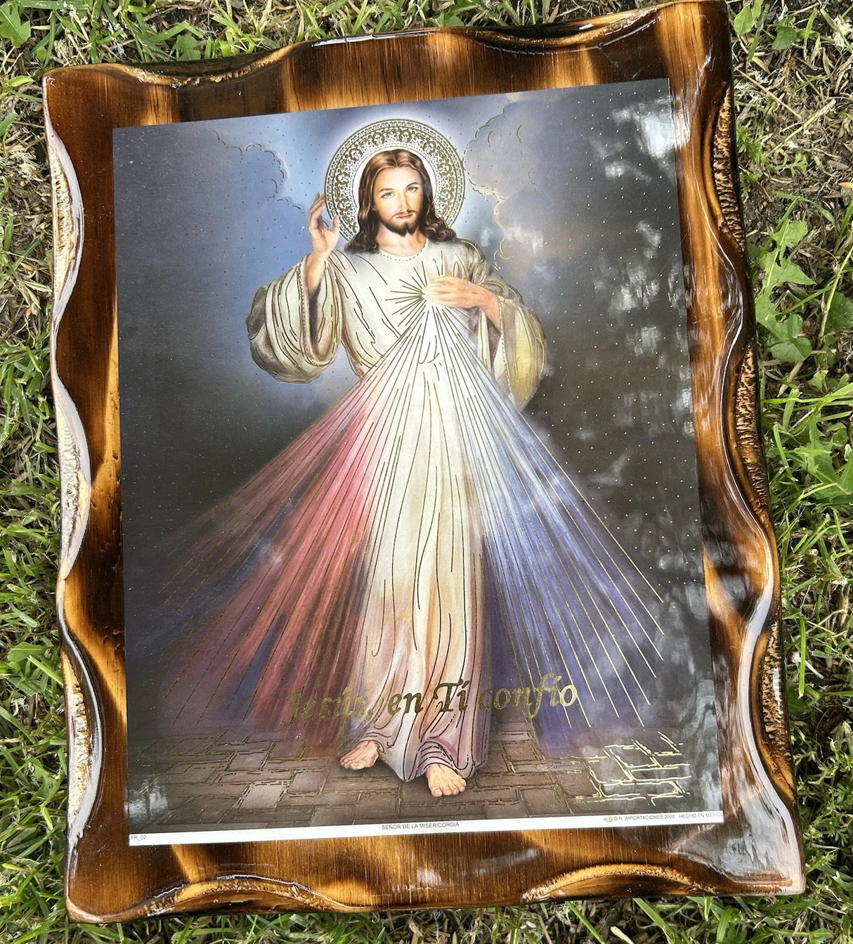 DIVINE MERCY WALL ART 9X11