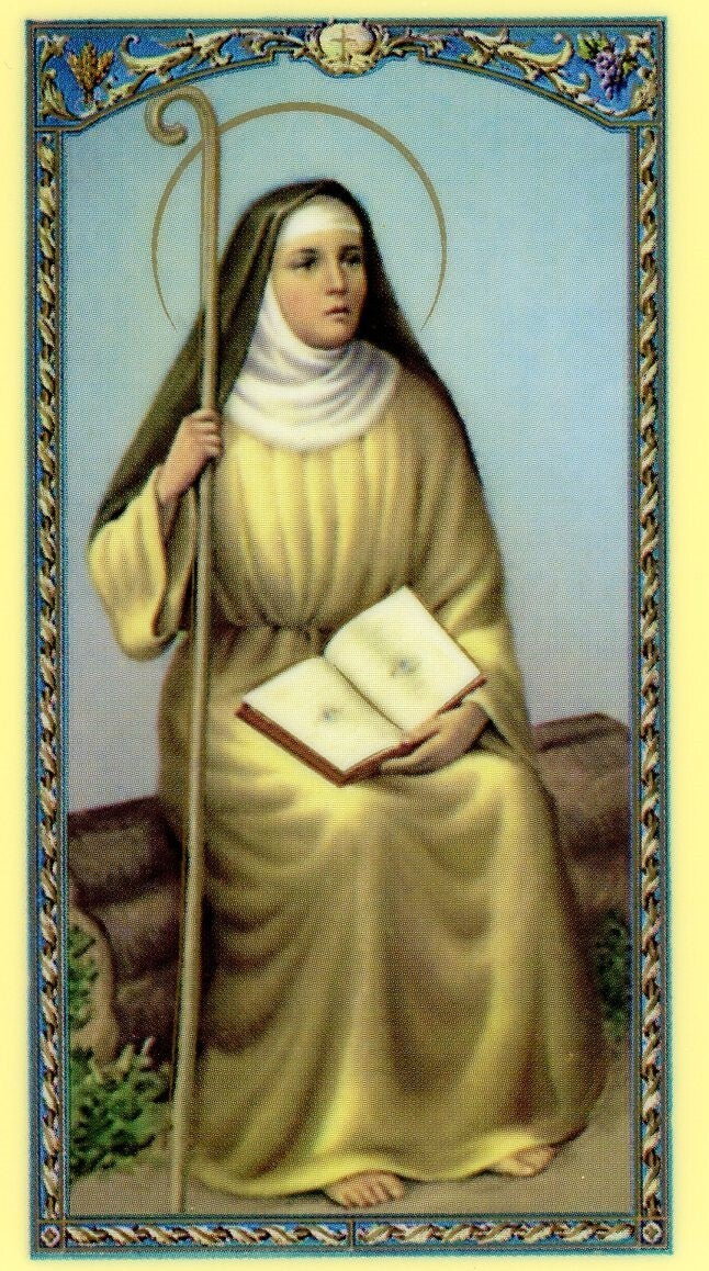Estampa mediana de Santa Monica