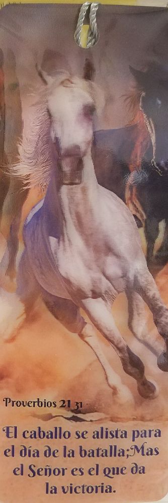 3334_Def.jpg