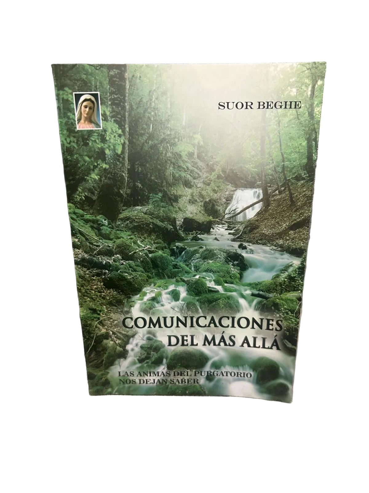 Comunicaciones desde el más allá (Spanish Edition)