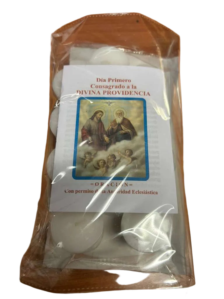DIA PRIMERO CONSAGRADO A LA DIVINA PROVIDENCIA
