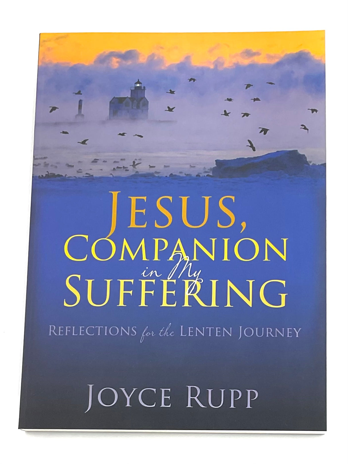 JESUS, COMPANION IN MY SUFFERING