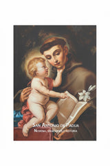 NOVENA SAN ANTONIO DE PADUA