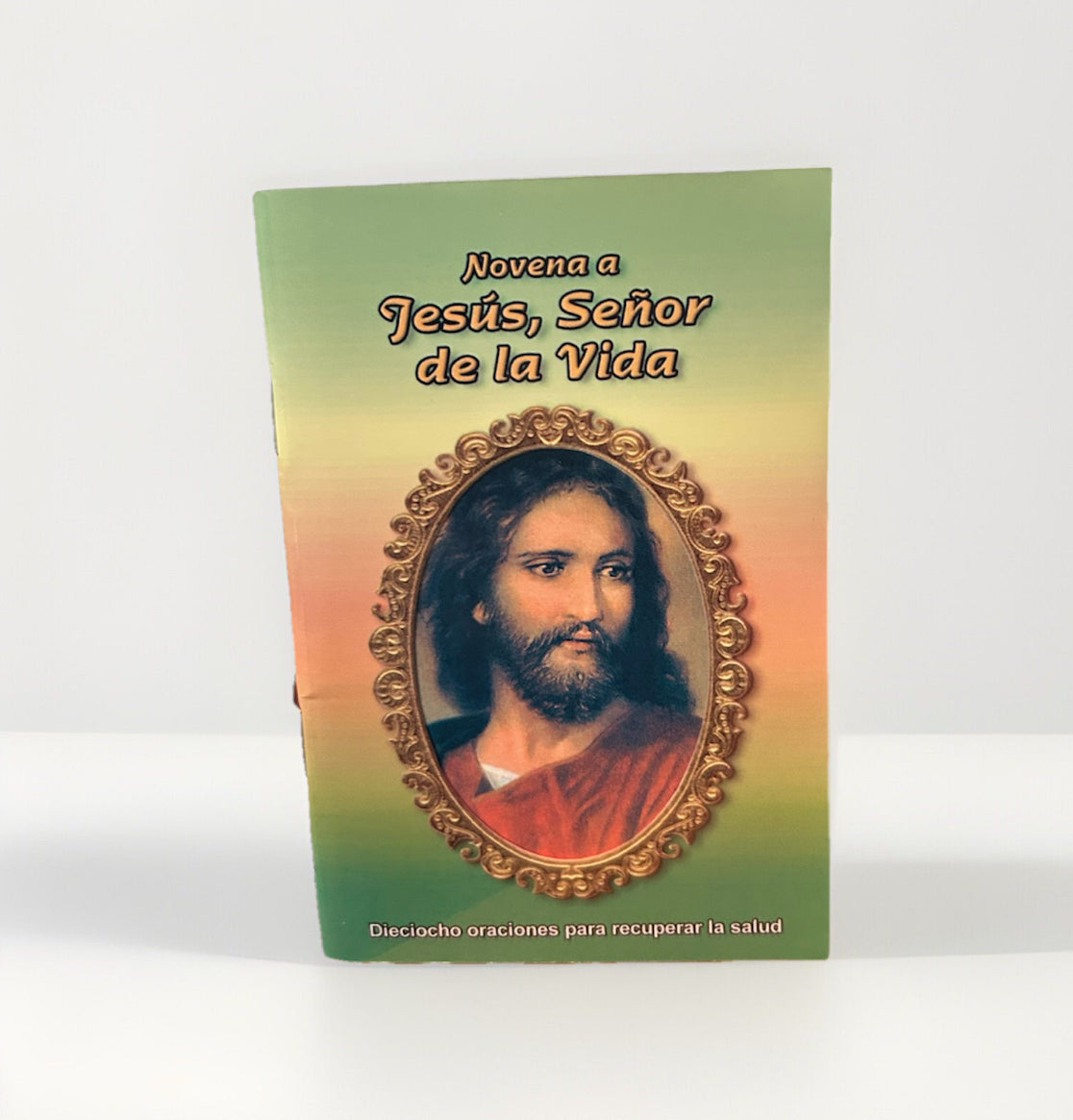 Novena al Señor de la vida