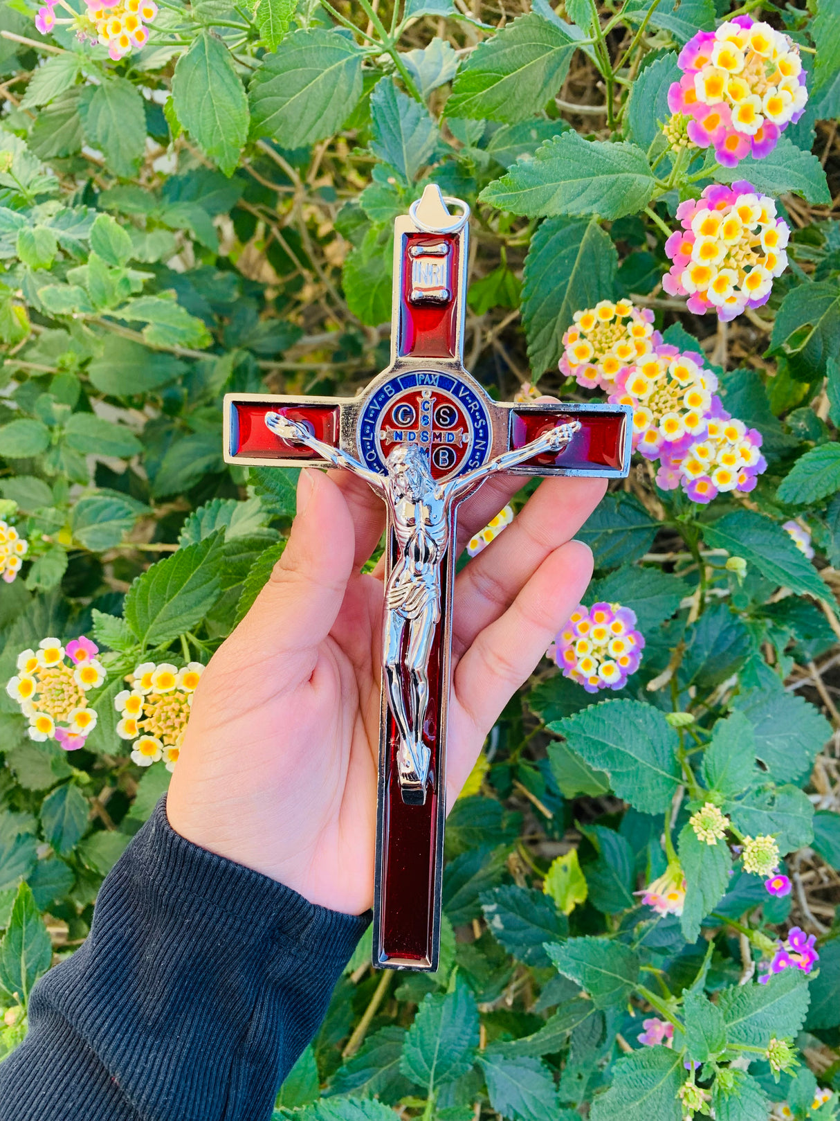 CRUZ SAN BENITO 8"C1 With Blue Box