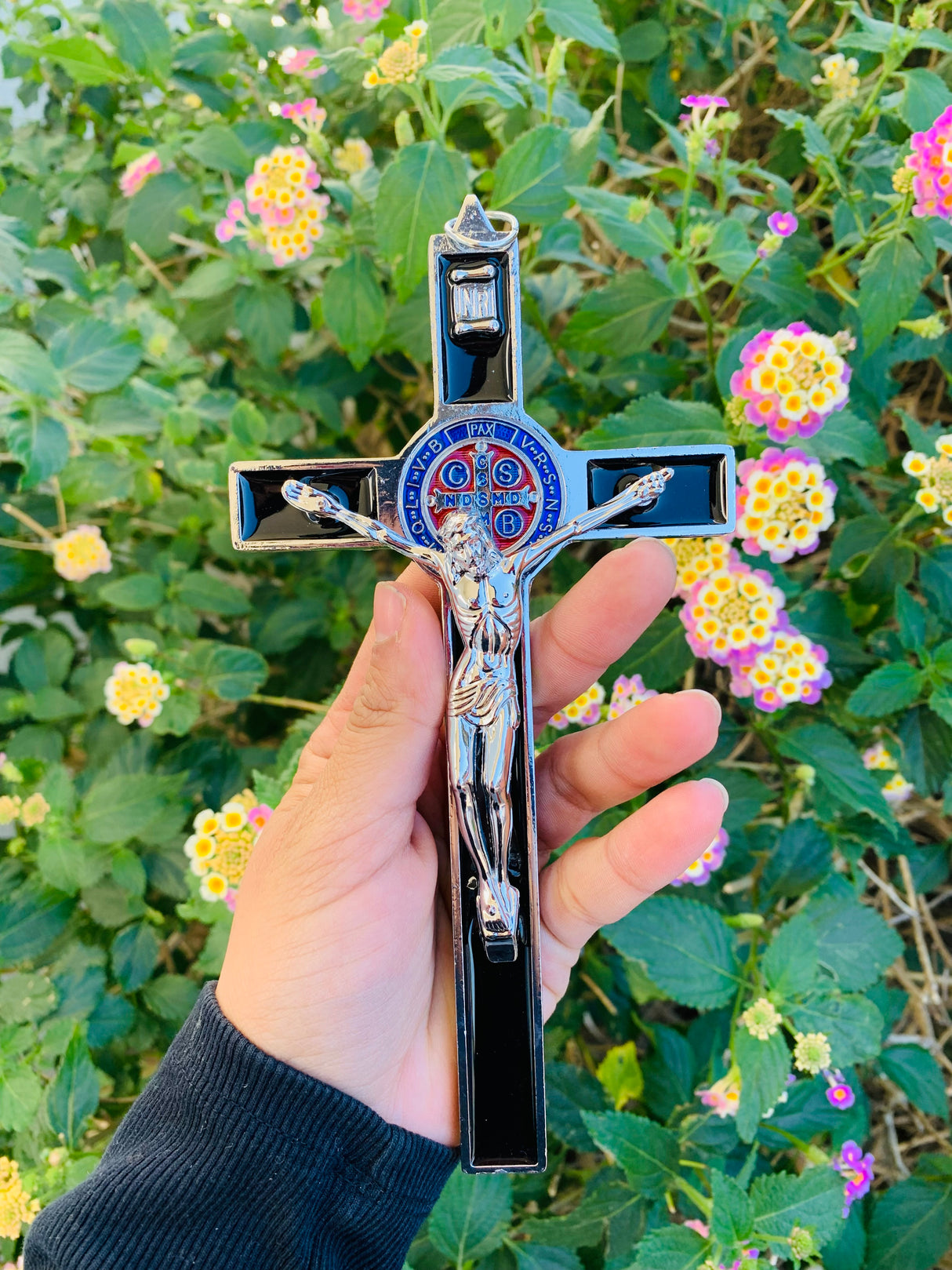 CRUZ SAN BENITO 8"C1 With Blue Box