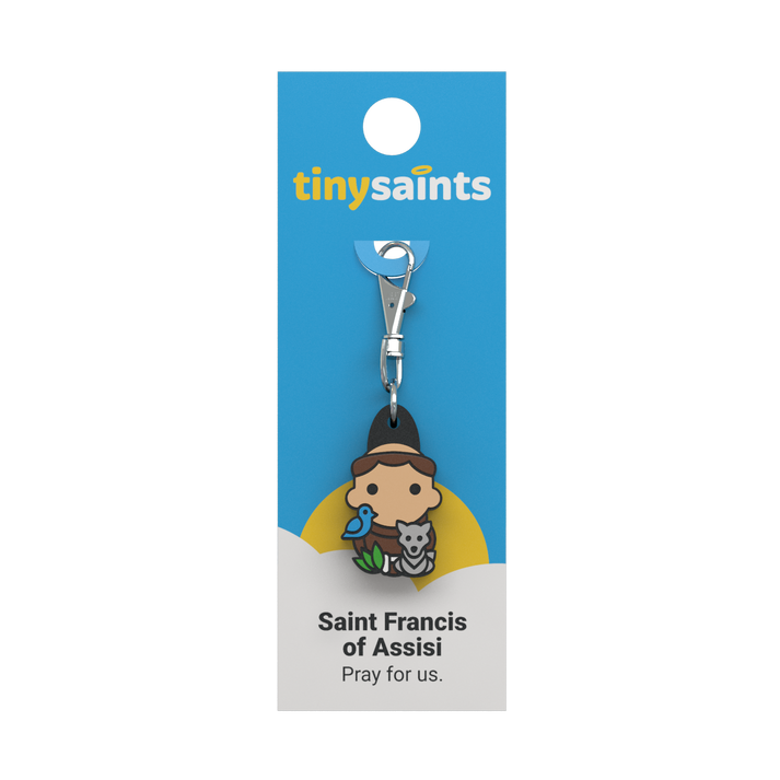 Saint Francis of Assisi TS