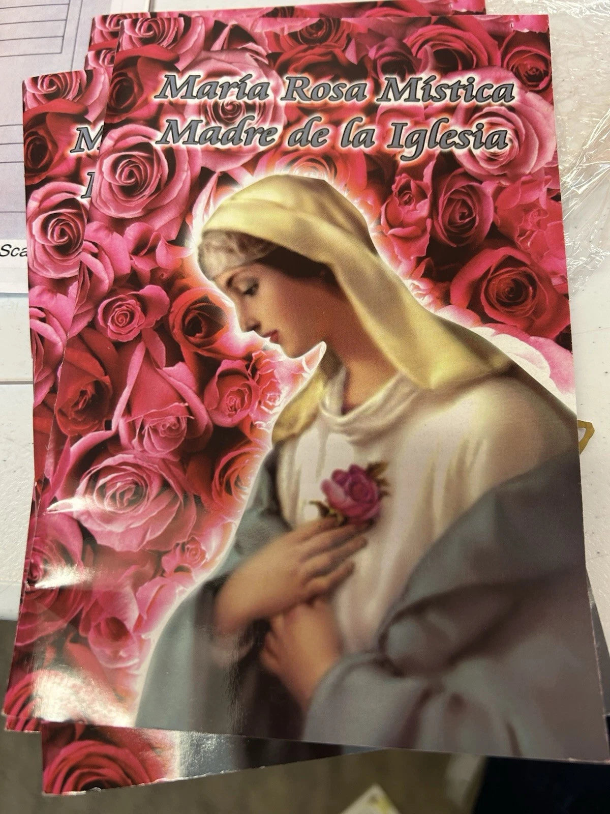 Maria Rosa Mistica Madre de la Iglesia