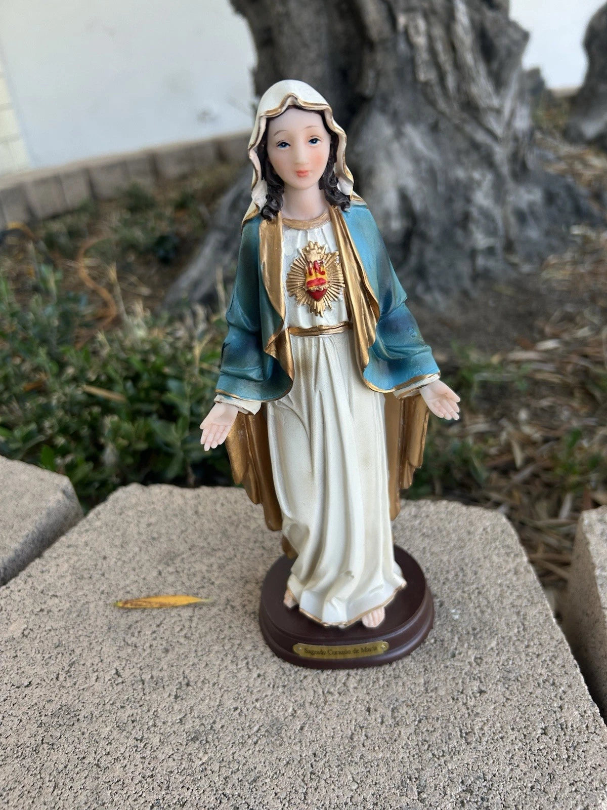 Sagrado Corazon de Maria 8"-8"-L2
